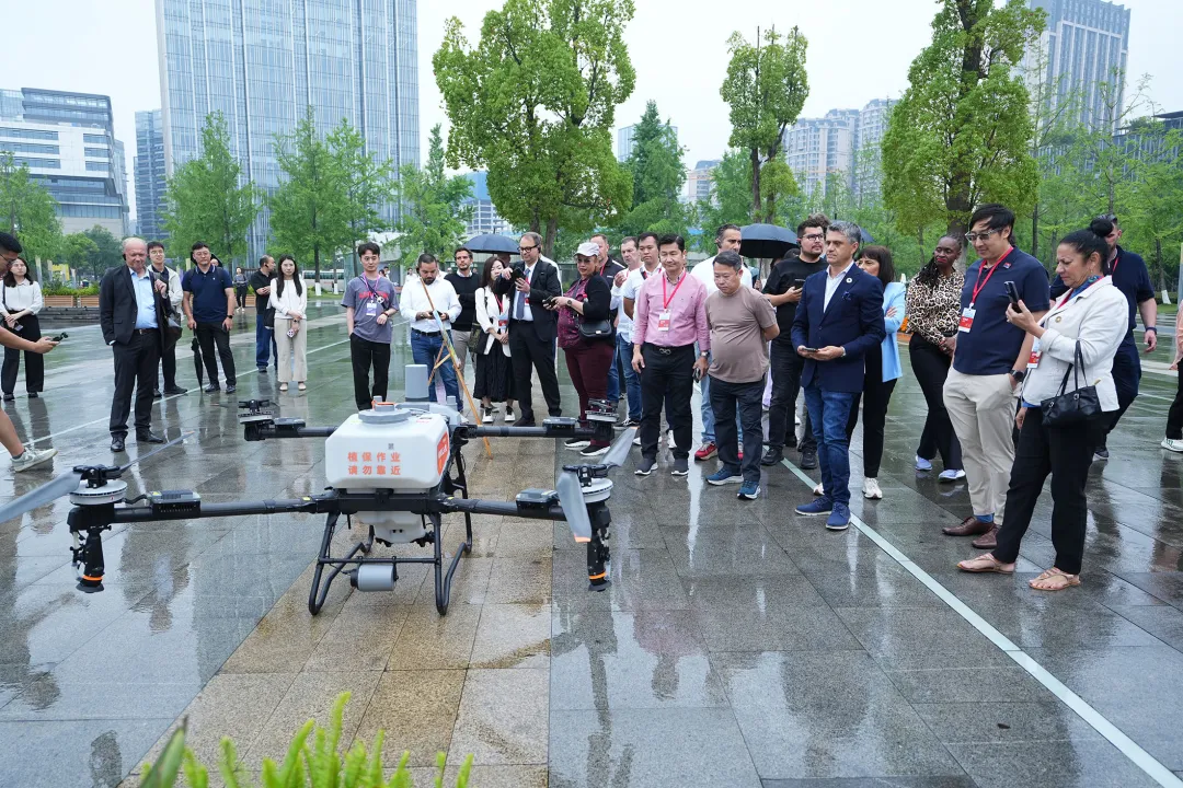 1780548604600504.png 图片9.png