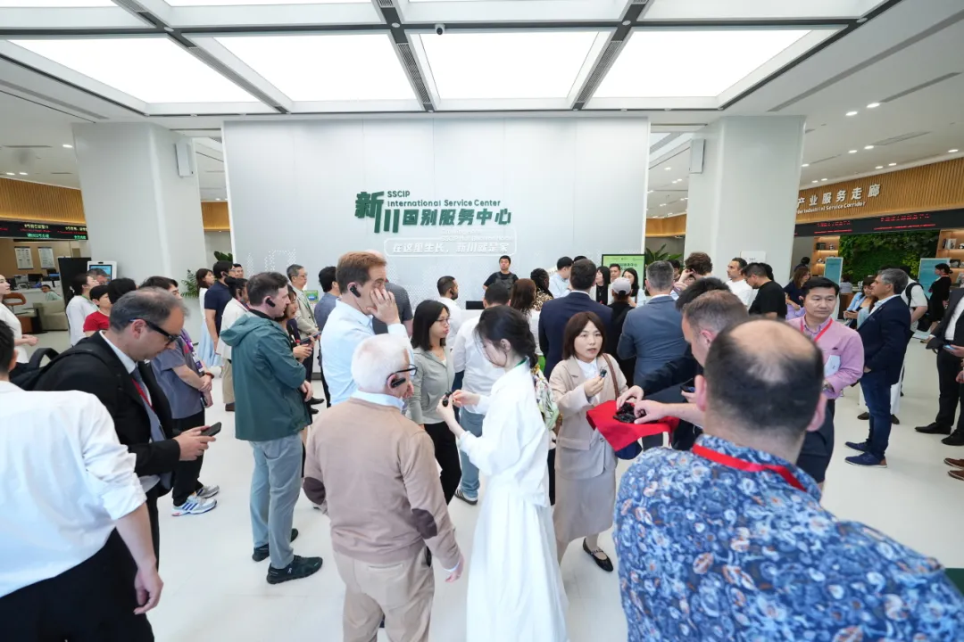 1780548706419570.png 图片12.png